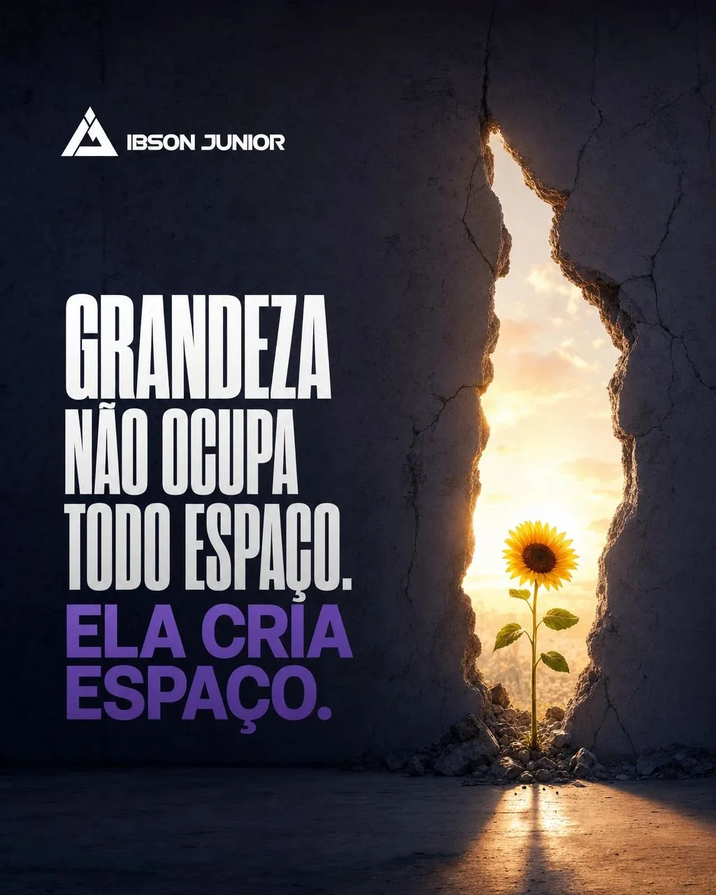 Arte de post de Ibson Junior no LinkedIn: grandeza não ocupa todo espaço, ela cria espaço.